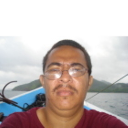 bayardo Bustos Flores