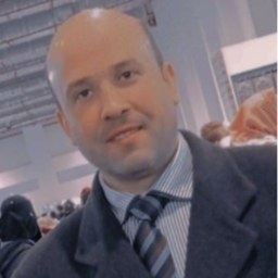Alaa Fahmy