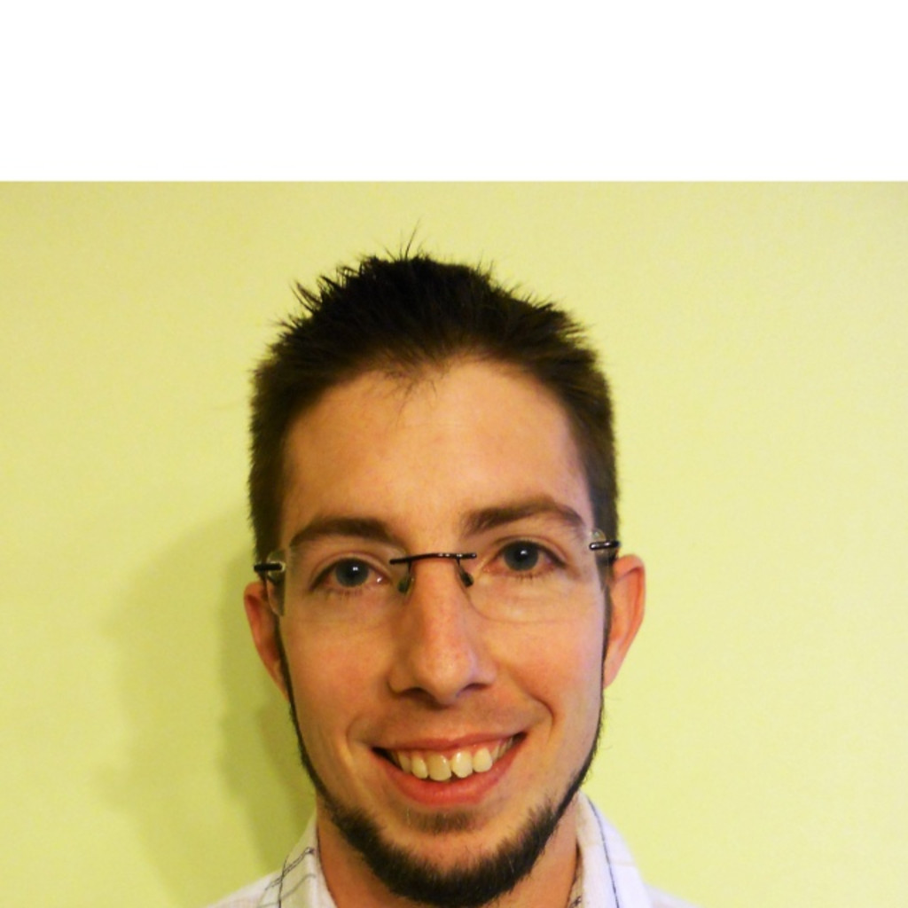 Janos Boros software developer/web developer vranz XING