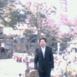 Prof. 胜 陈