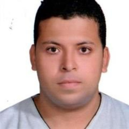 Ing. KARIM SHAlASH
