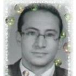 Walid ZEDDINI