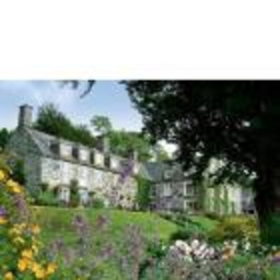 Maes Y Neuadd