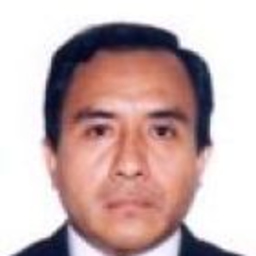 Mario Dominico Rodriguez  Delgado