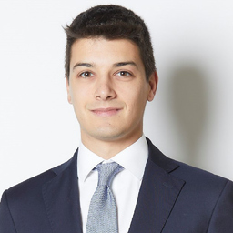 Luca Ferraro - Senior Strategy Manager Global Operations - BIOTRONIK | XING