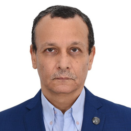 Wael El Essawy