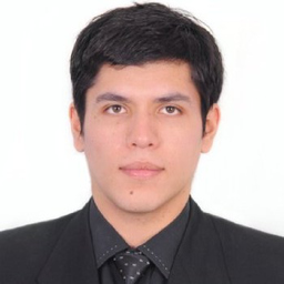 Mag. Renato Alonso Malaga Linares