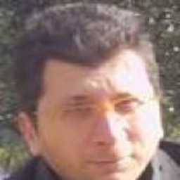 STEFANO APOLLONI