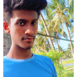 Ram Grandhi