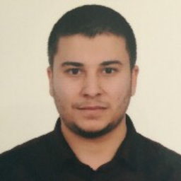 Hasan Erdem Demir
