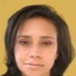 Diana Milena Castellanos Forero