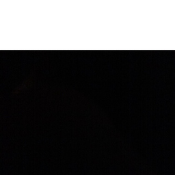Aaron Cratty's profile picture