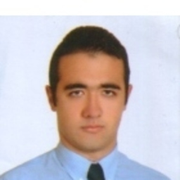M. Serdar Biçer