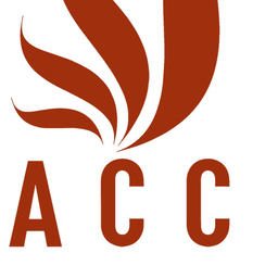 DichVuKiemToan ACC