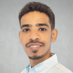 Amro Salih