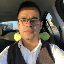 Tarek Safwat