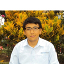 Francisco Mego Torres