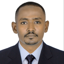 Ali Ahmed