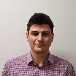 Mircea Puscas