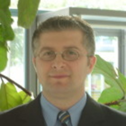 Toni Bergamotto