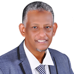 Ahmed Ali