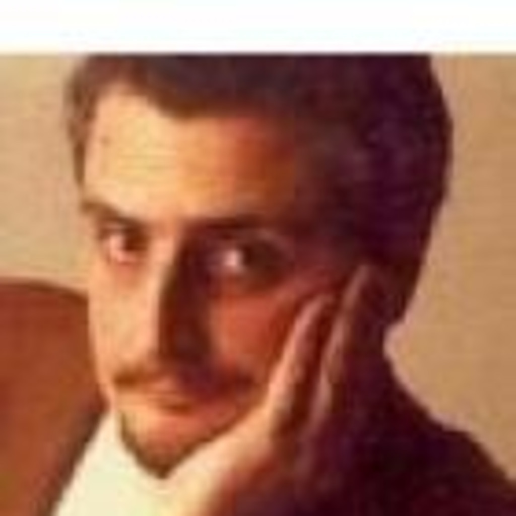 Domenico Ferrara Consulente Freelance XING