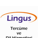 Lingus Tercüme Dil Hizmetleri