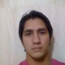 aldrint castro sanchez