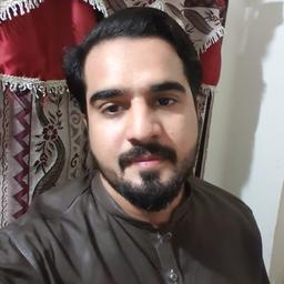 ali nasir