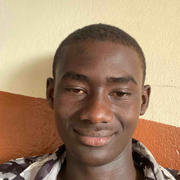 Lamin Cham