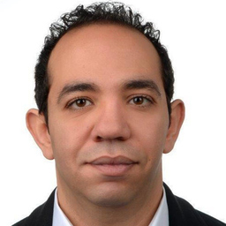 Ing. Ahmed Hashish