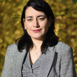 Azadeh Monirimoghadam