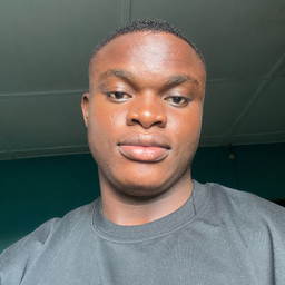 Idris Ibrahim Olatunji