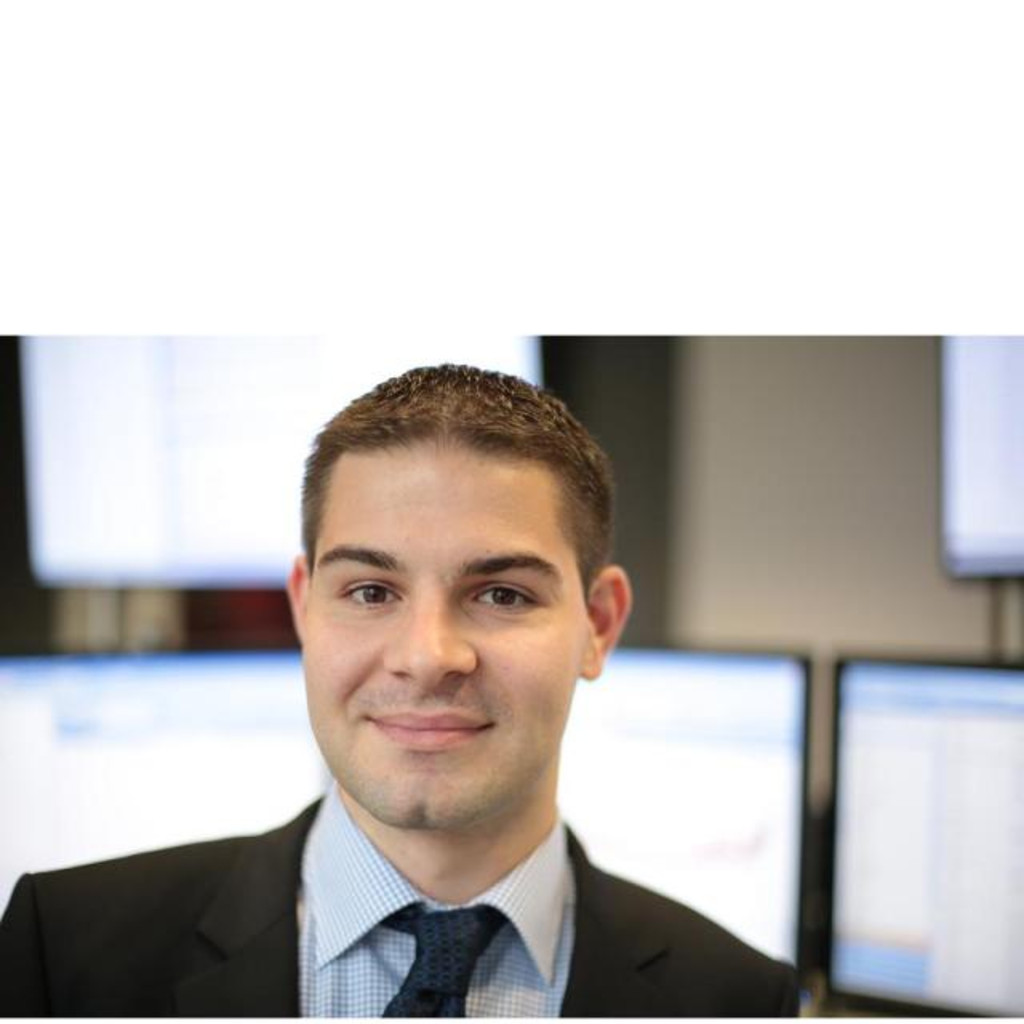 Martin Franz Portfoliomanager Strom/Gas VSE AG XING