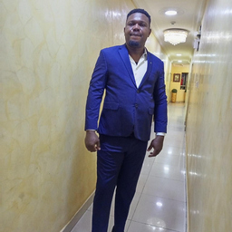 Ikechukwu Ogude