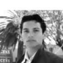Alberto Alexander Vides Garzón