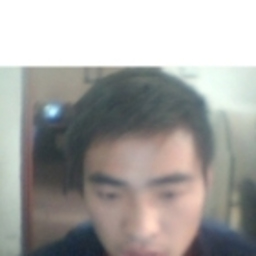 Prof. Gao Fan