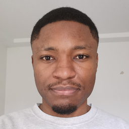 Ing. Joel Kevin Likane Zindjou