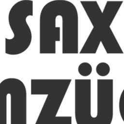 SAX Umzüge