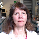 Dr. Regina Rosenhauer