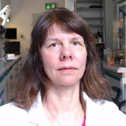 Dr. Regina Rosenhauer