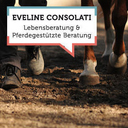 Eveline Consolati