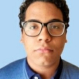 Michel Mendonça's profile picture