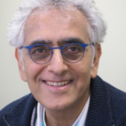 Anosh Soltani