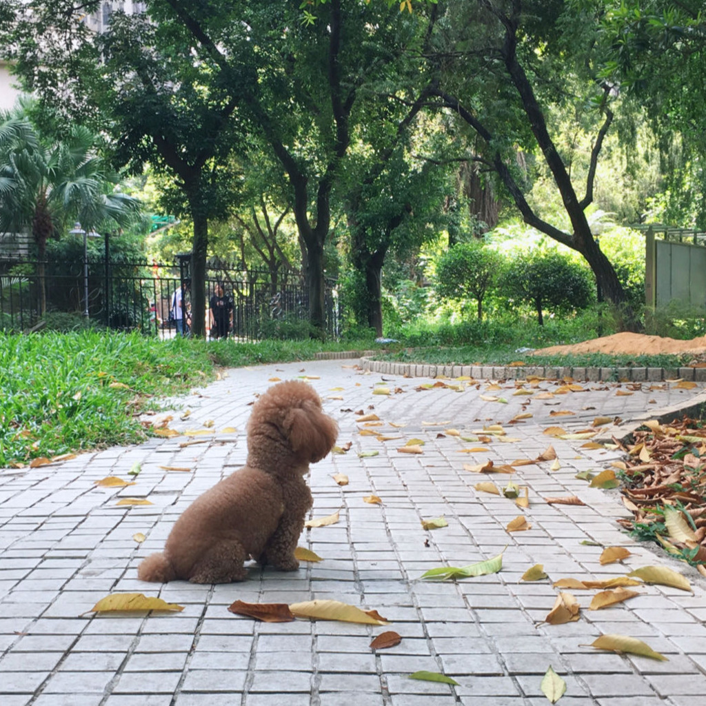 Lily Gao Sales Specialist Think Real Co., Ltd XING