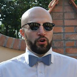 Dipl.-Ing. Constantin Rosca