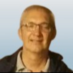 WILSON BOLOGNESI - PMP