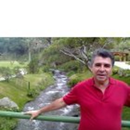 Raúl González Pino