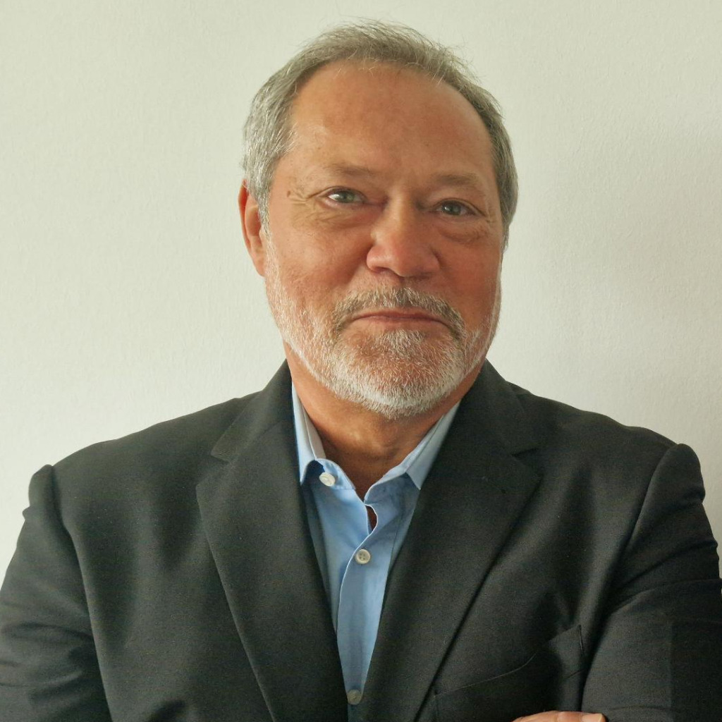 peter ludwig Interim Manager Pro Tempore XING