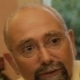 michel fallourd